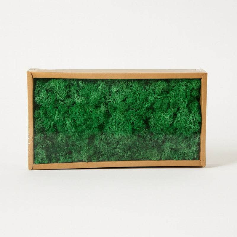Christmas  -  Reindeer Moss Emerald Green - 500g  -  60011596