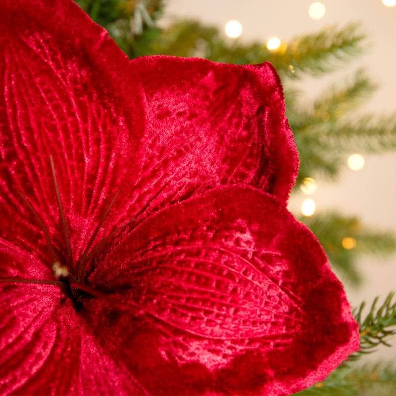 Christmas  -  Red Velvet Amaryllis Clip Decoration - 14cm  -  60012209