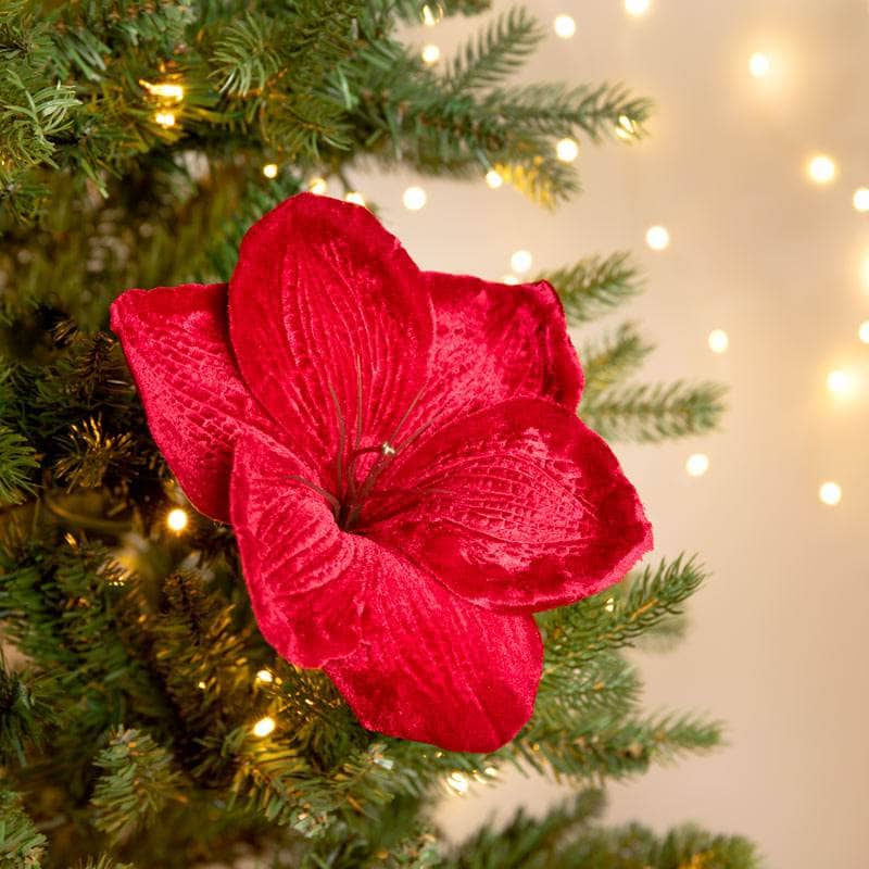 Christmas  -  Red Velvet Amaryllis Clip Decoration - 14cm  -  60012209