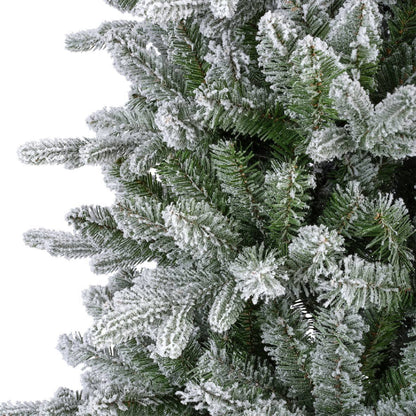 Christmas  -  Killington Fir Frosted Christmas Tree - 7ft  -  60012262