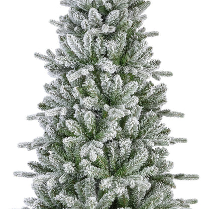 Christmas  -  Killington Fir Frosted Christmas Tree - 7ft  -  60012262