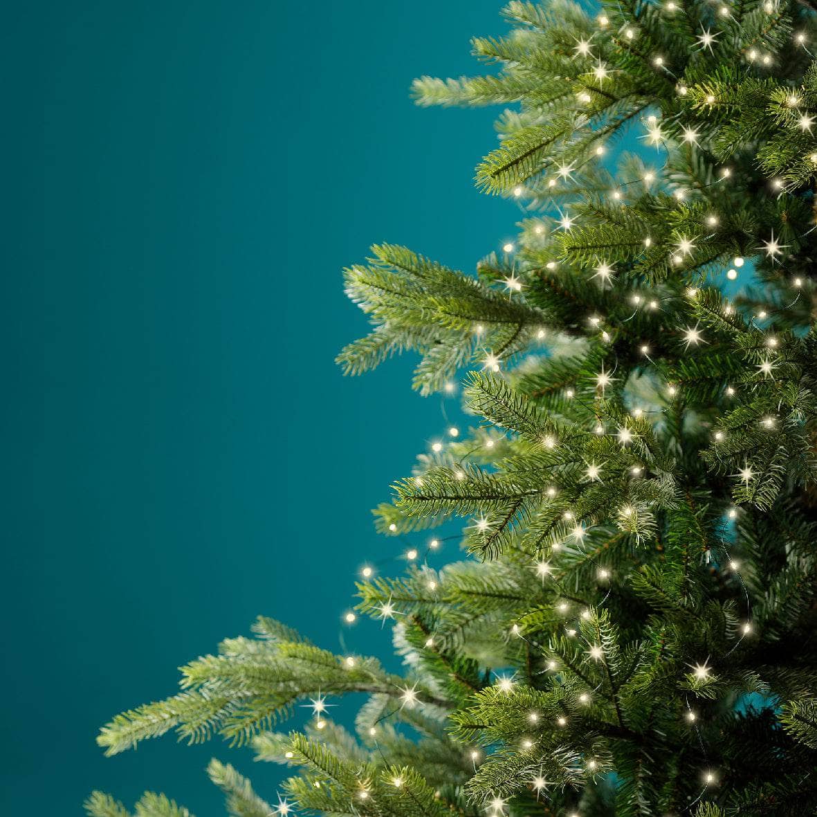 Christmas  -  Micro LED Tree Bunch Tree Lights - Warm White  -  60450742