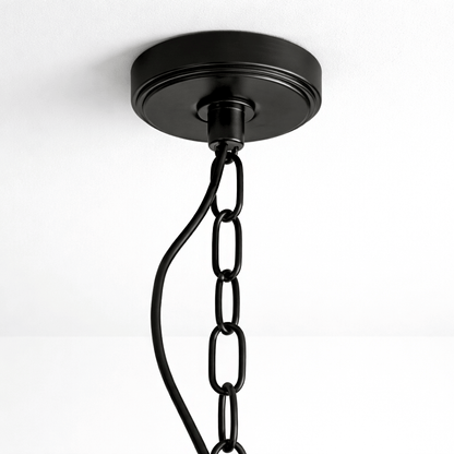 Lights  -  Leipzig 1 Light Pendant Light - Black  -  60450802