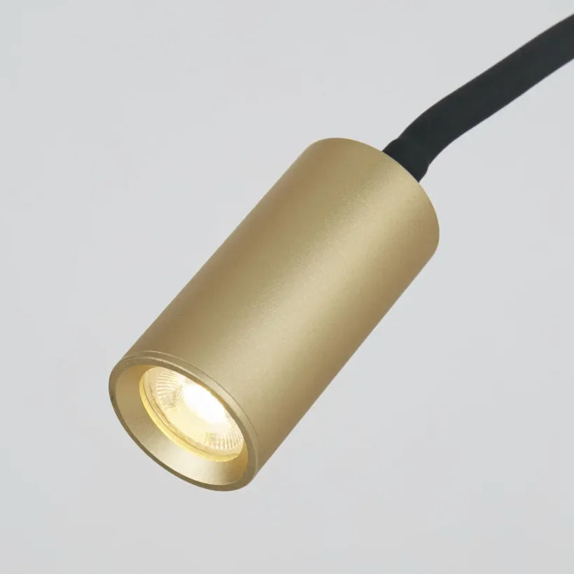 Lights  -  Ciara Desk Lamp - Gold & Black  -  60484233