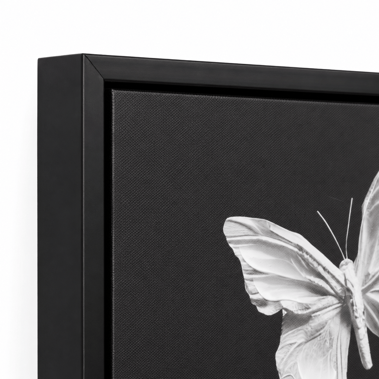Pictures  -  Butterfly Framed Picture - 80 x 150cm  -  60484480