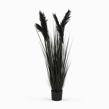Homeware  -  Black Artificial Grass - 122cm  -  60484546