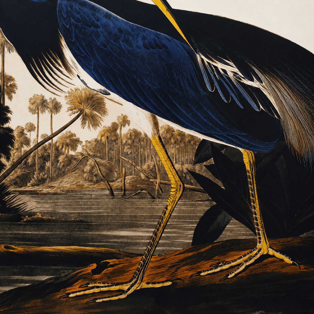 Pictures  -  SHH Blue Heron Large Canvas with Black Frame - 92.5 x 142cm  -  60485121