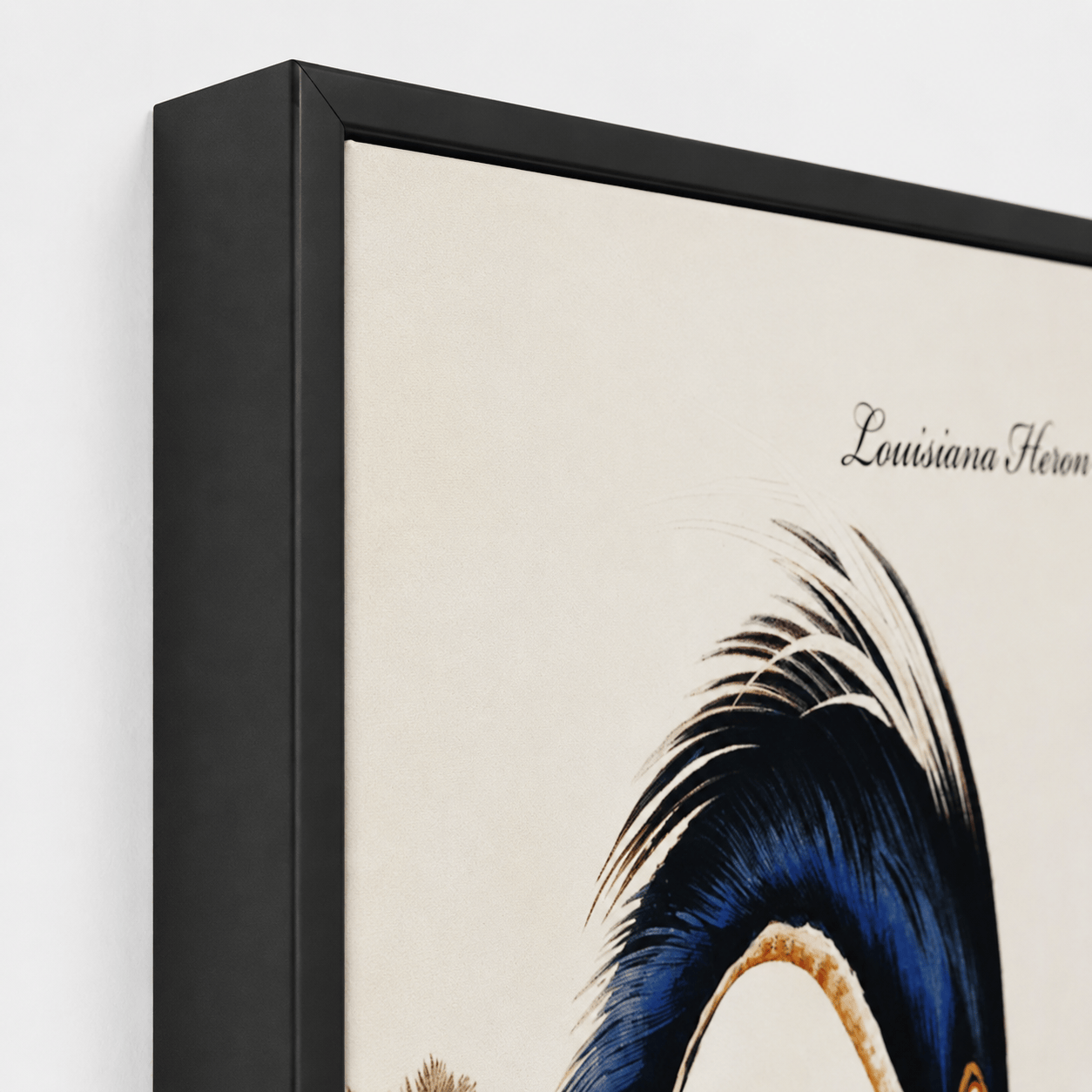 Pictures  -  SHH Blue Heron Large Canvas with Black Frame - 92.5 x 142cm  -  60485121