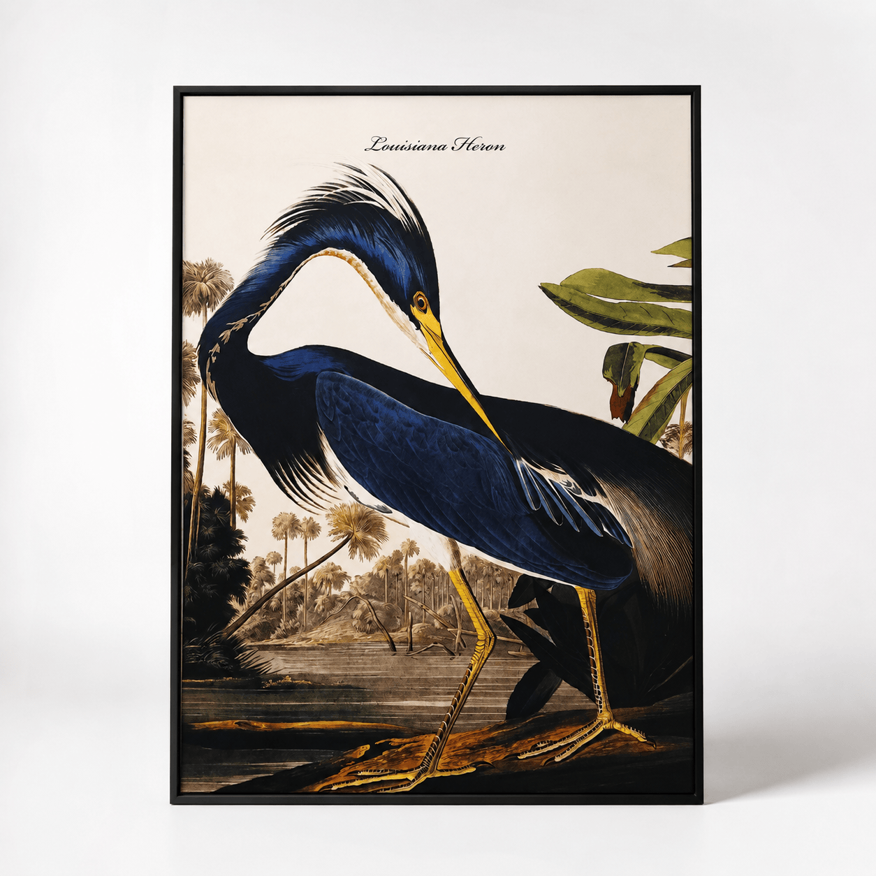 Pictures  -  SHH Blue Heron Large Canvas with Black Frame - 92.5 x 142cm  -  60485121