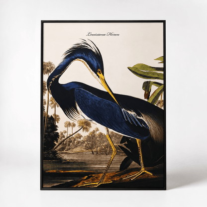 Pictures  -  SHH Blue Heron Large Canvas with Black Frame - 92.5 x 142cm  -  60485121