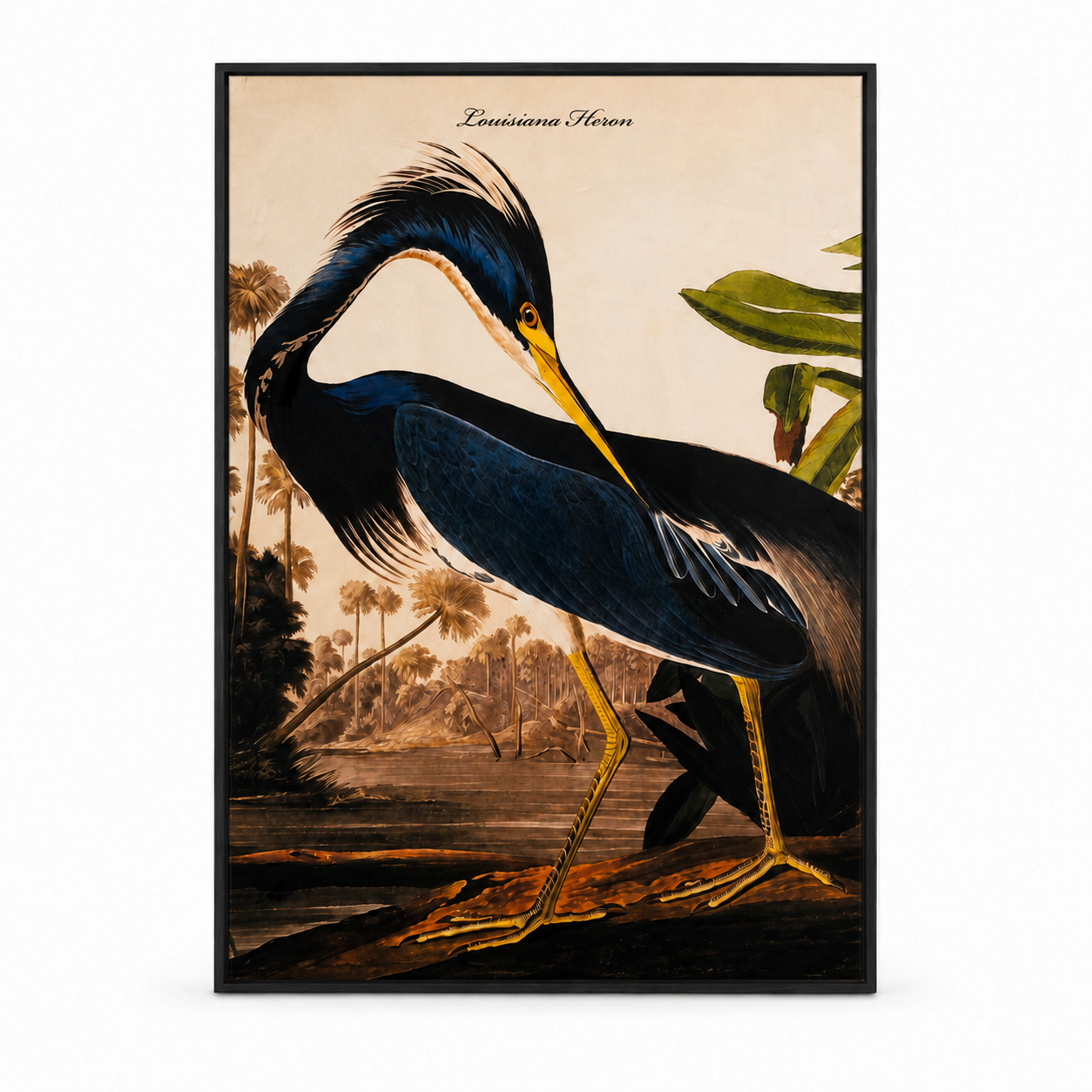 60485122 Heron Velvet Canvas Large - 142 x 93cm
