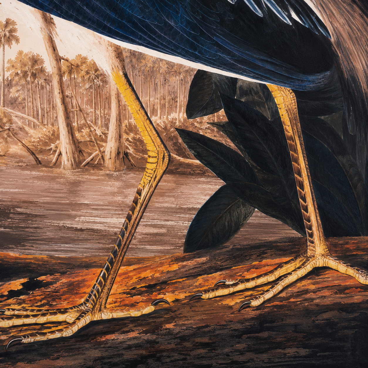 60485122 Heron Velvet Canvas Large - 142 x 93cm