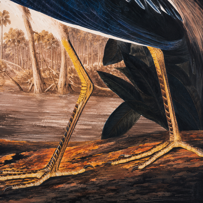60485122 Heron Velvet Canvas Large - 142 x 93cm