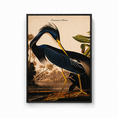 60485129 Heron Velvet Canvas Medium - 93 x 68cm
