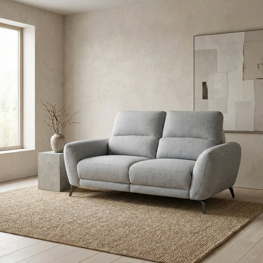 Furniture  -  Plaza 2 Seater Sofa - Grey  -  60485242