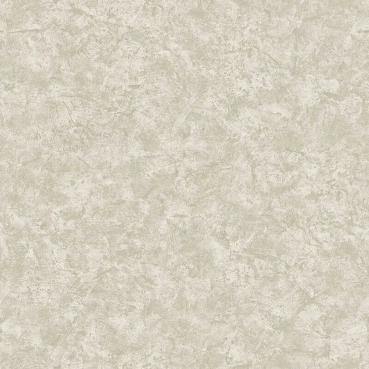 Sample  -  Rasch Albero Texture Pewter Sample - 400525  -  60485298