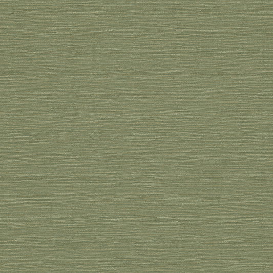 Sample  -  Holden Grasscloth Texture Green Sample - 66232  -  60485344