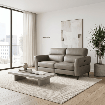 Furniture  -  Arezzo 2 Seater Sofa - Grey  -  60485902