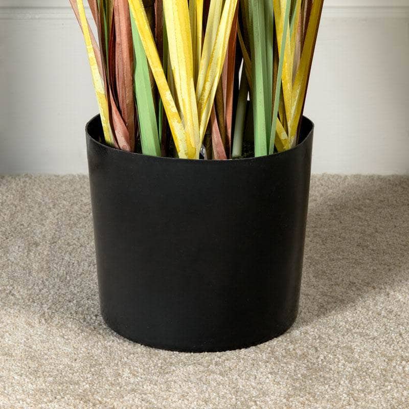 Homeware - Artificial Colourful Eremurus Grass With Plastic Pot - 152cm  -  60008438
