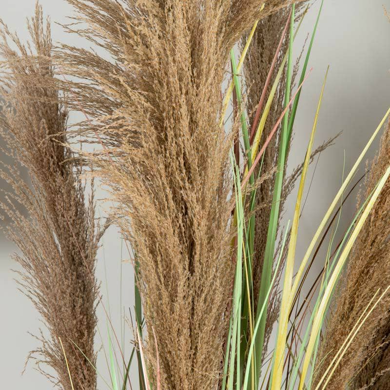 Homeware - Artificial Colourful Eremurus Grass With Plastic Pot - 152cm-  60008438