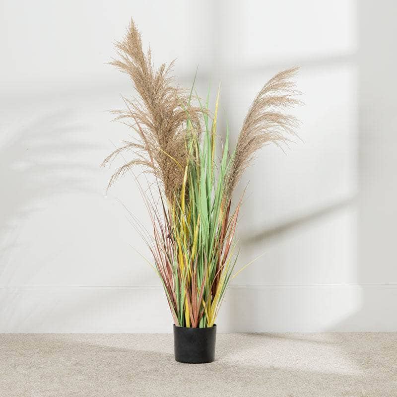 Homeware  -  Artificial Colourful Eremurus Grass With Plastic Pot - 91cm  -  60008436