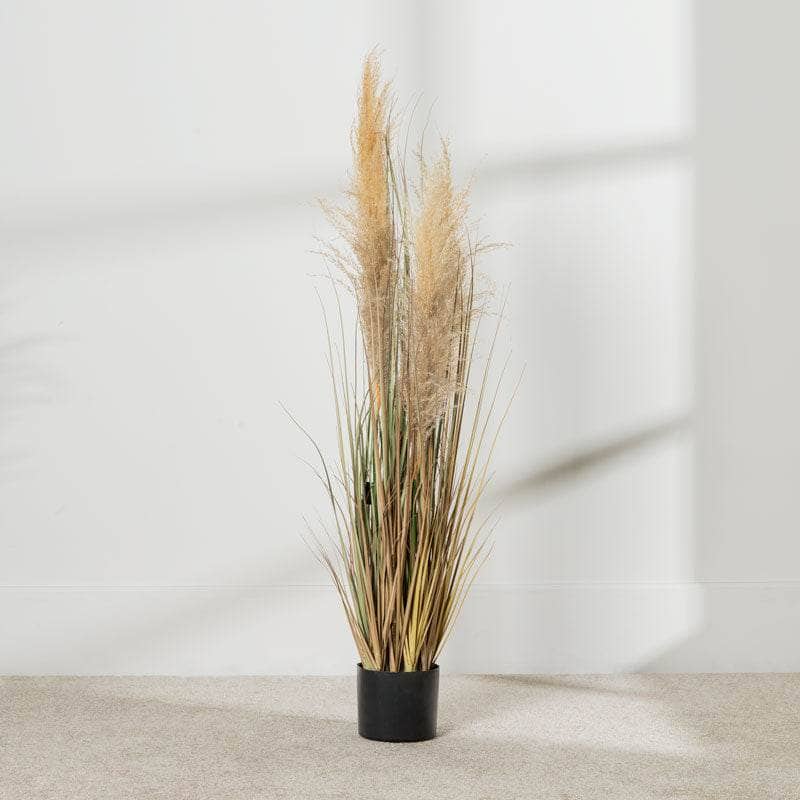 Homeware - Artificial Eremurus Grass With Plastic Pot - 91cm  -  60008433