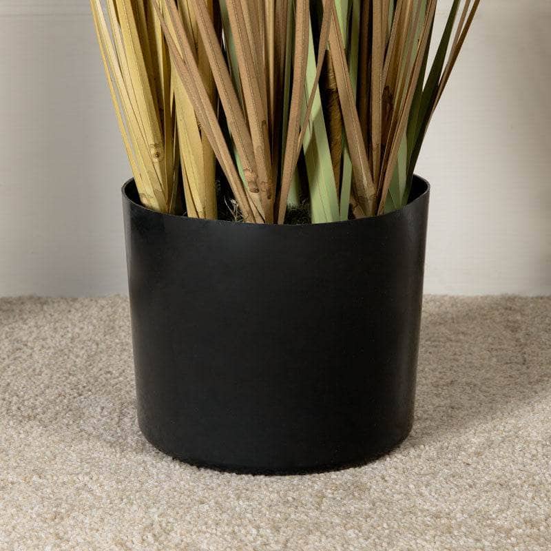 Homeware - Artificial Eremurus Grass With Plastic Pot - 91cm -  60008433