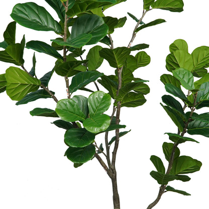 Homeware  -  Artificial Ficus Tree - 1.85m  -  60487460