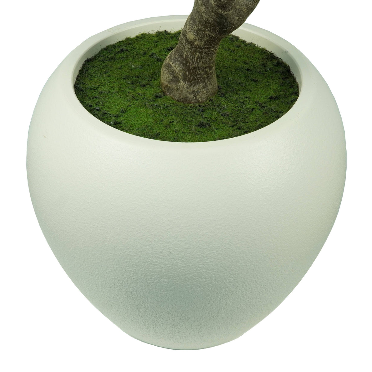 Homeware  -  Artificial Ficus Tree - 1.85m  -  60487460