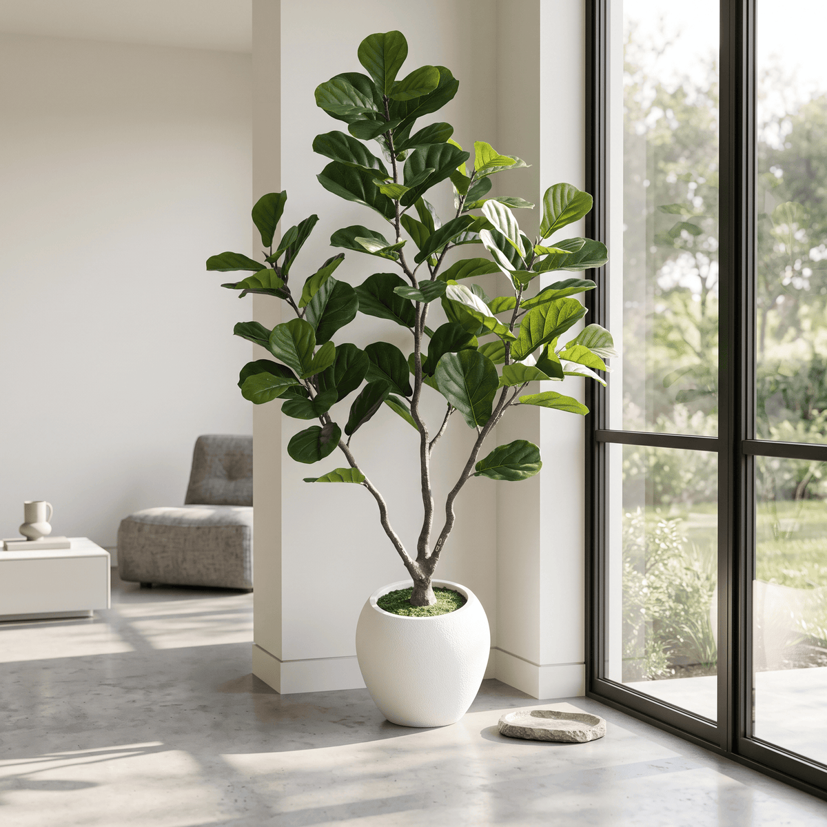 Homeware  -  Artificial Ficus Tree - 1.85m  -  60487460