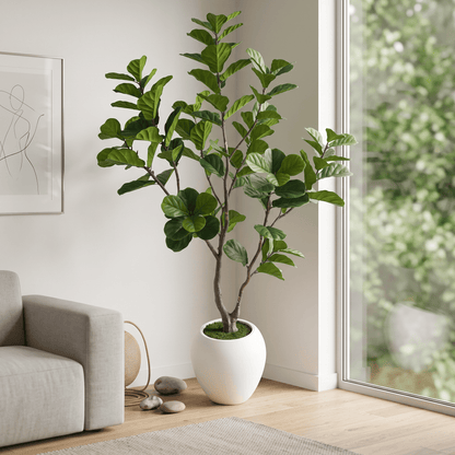 Homeware  -  Artificial Ficus Tree - 2.25m  -  60487461