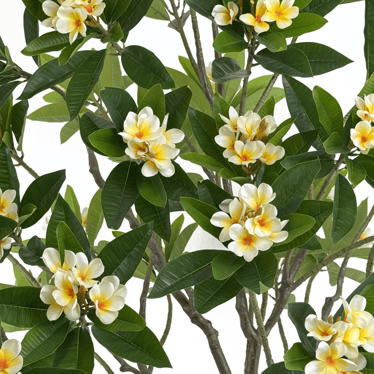 Homeware  -  Artificial Hawaiian Flower Tree - 230cm  -  60487462
