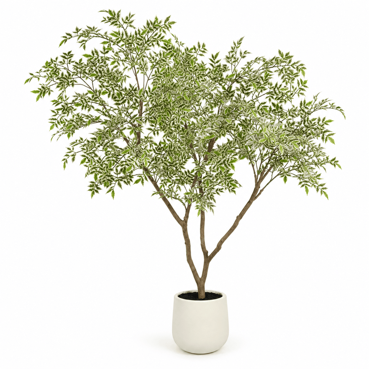 Homeware  -  Artificial Mini Leaves Ficus Tree - 210cm  -  60487466