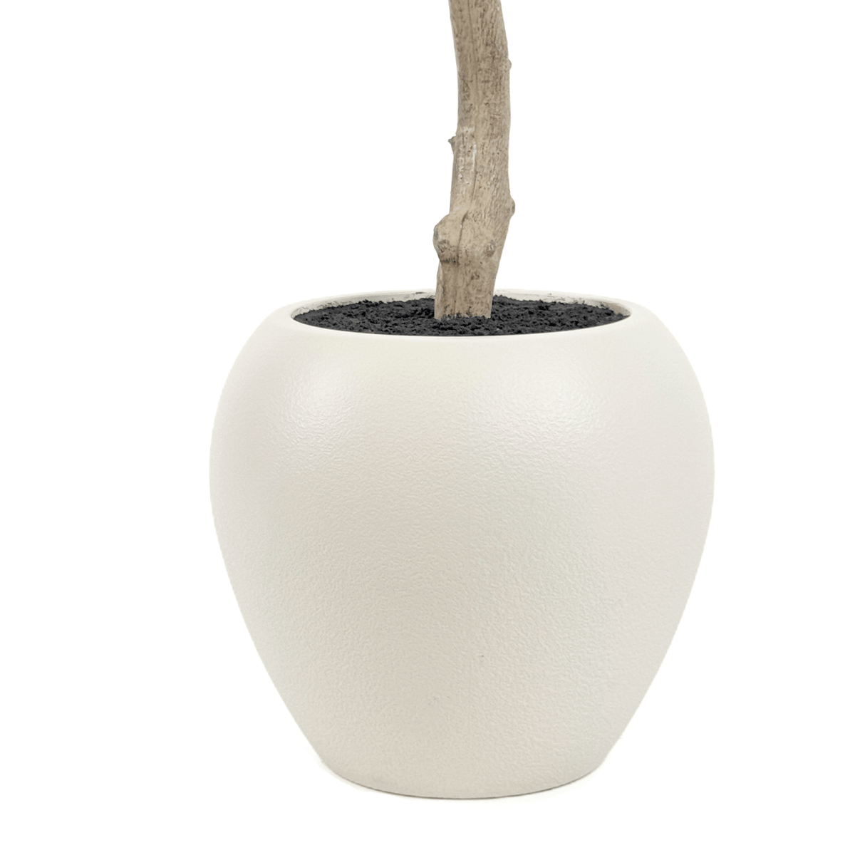 Homeware  -  Artificial Mini Leaves Ficus Tree - 240cm  -  60487463