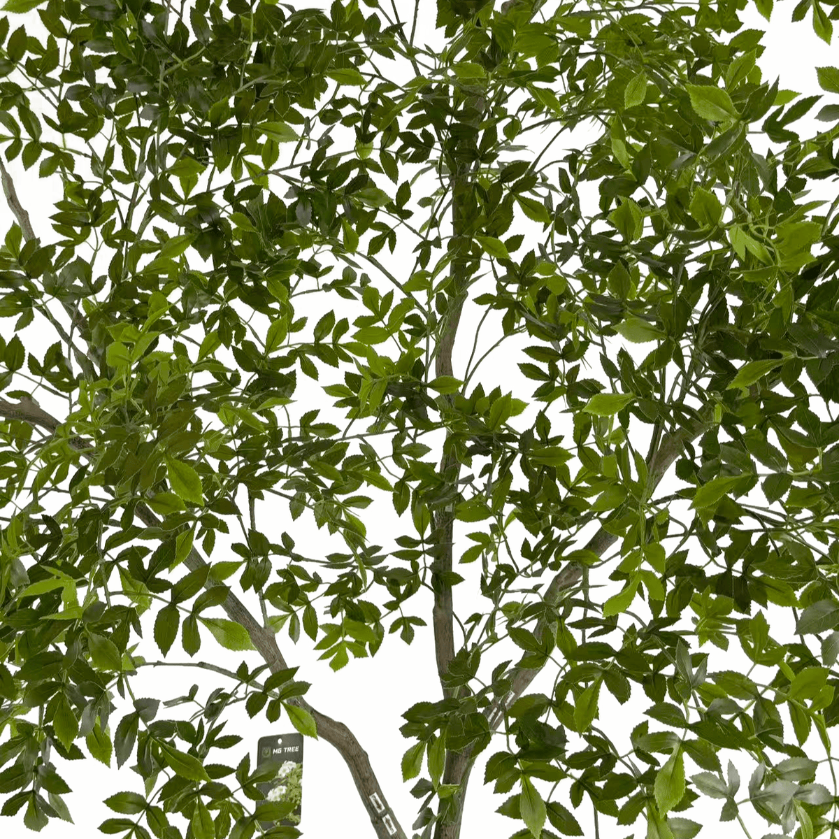 Homeware  -  Artificial Mini Leaves Ficus Tree - 240cm  -  60487463