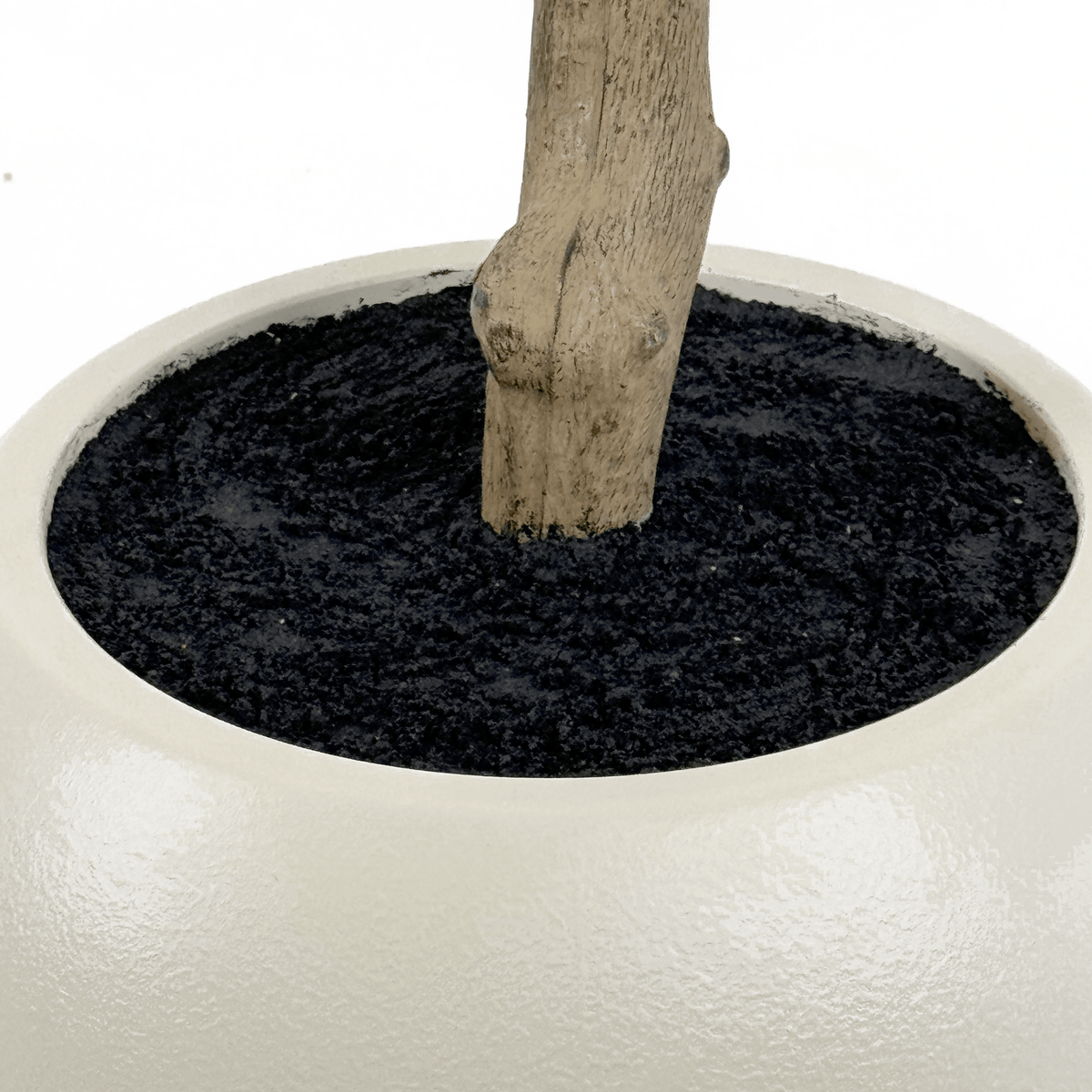 Homeware  -  Artificial Mini Leaves Ficus Tree - 240cm  -  60487463