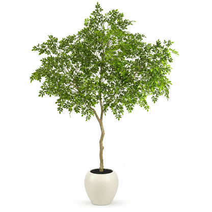 Homeware  -  Artificial Mini Leaves Ficus Tree - 240cm  -  60487463