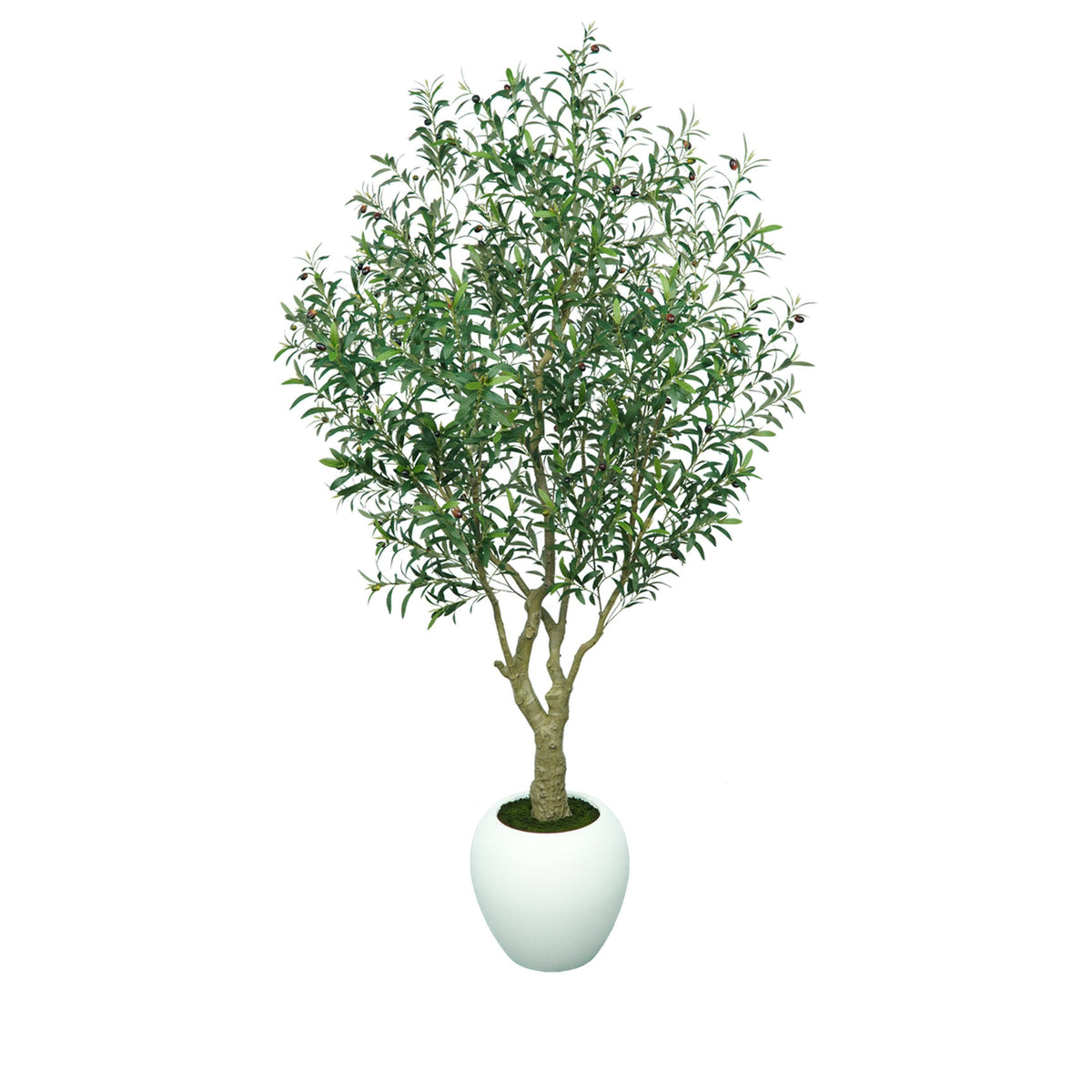 Homeware  -  Artificial Olive Tree - 2.5m  -  60487458