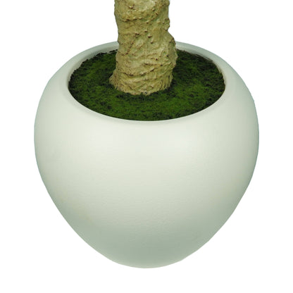 Homeware  -  Artificial Olive Tree - 2.5m  -  60487458