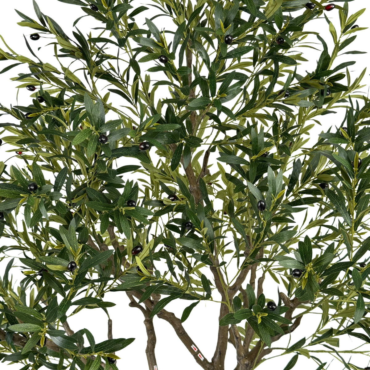 Homeware  -  Artificial Olive Tree - 230cm  -  60487464