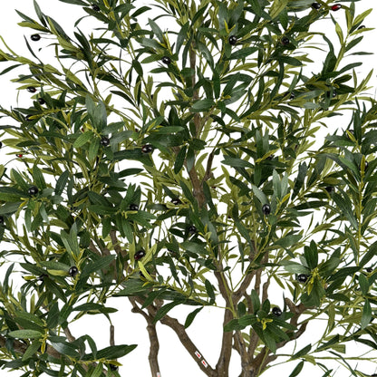 Homeware  -  Artificial Olive Tree - 230cm  -  60487464