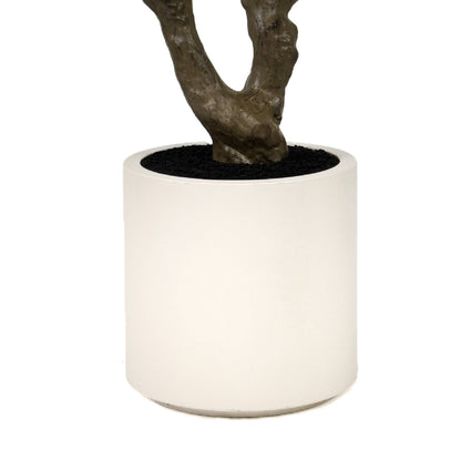Homeware  -  Artificial Olive Tree - 230cm  -  60487464