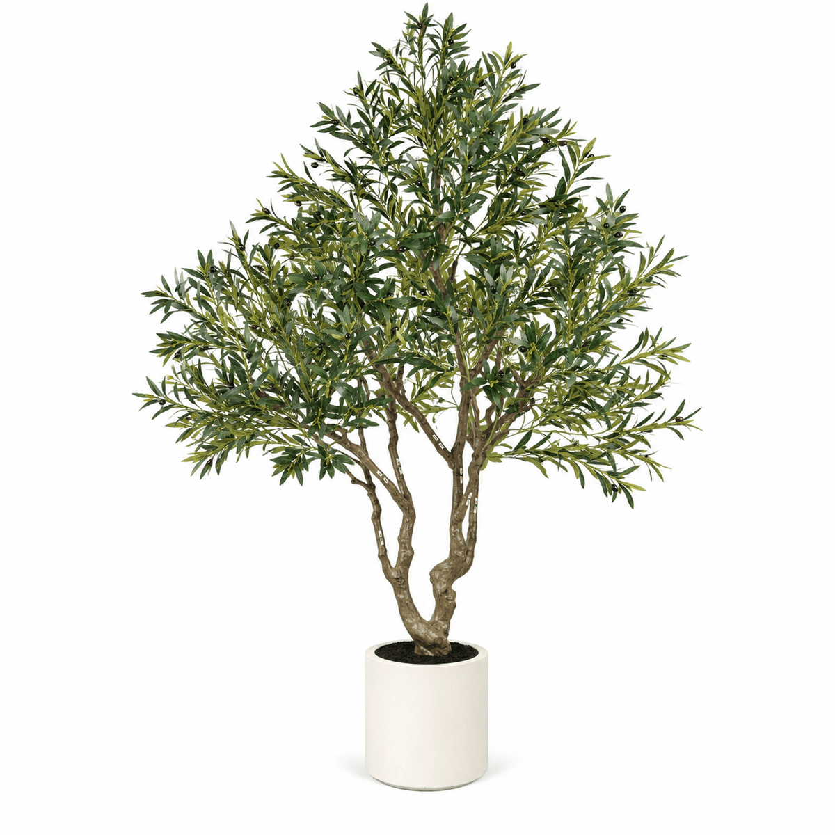 Homeware  -  Artificial Olive Tree - 230cm  -  60487464