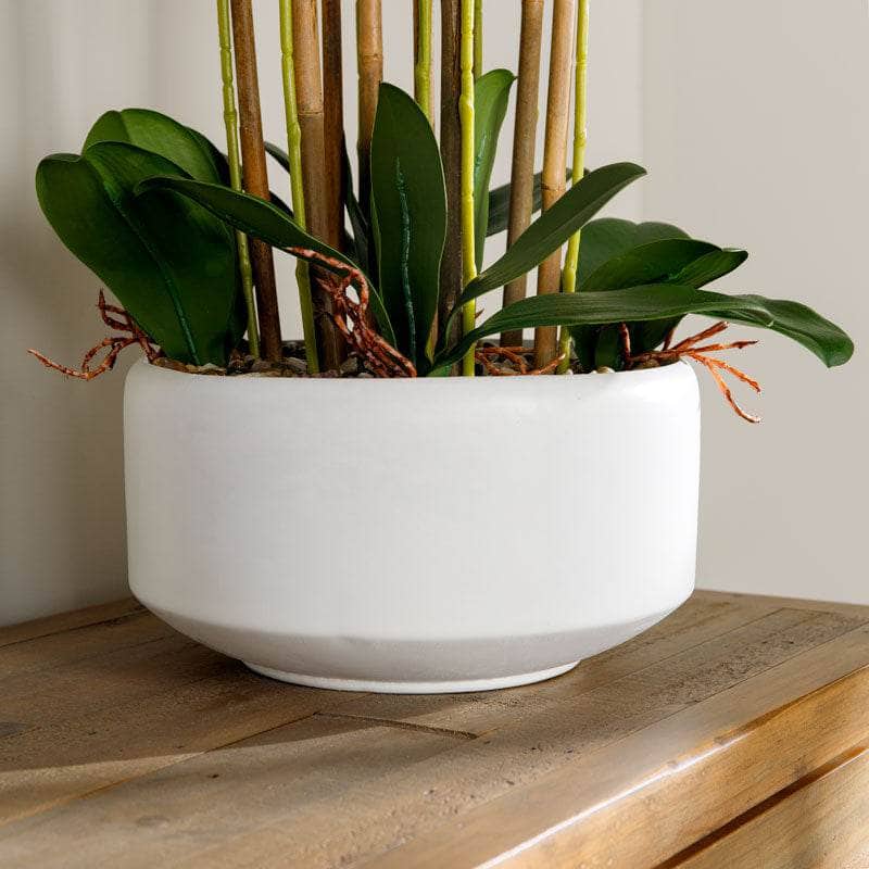 Homeware  -  Artificial Orchid In Stone Pot - 73cm  -  60008092