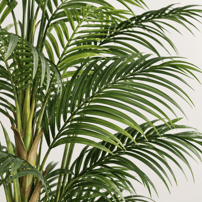 Homeware  -  Artificial Palm Tree - 220cm  -  60487465
