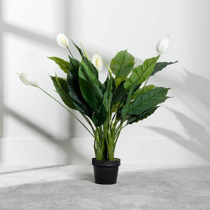  -  Artificial Peace Lilly (Spathiphyllum) 108cm  -  60008075