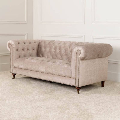 Furniture -  Buckingham 3 Seater Sofa - Taupe  -  60009276