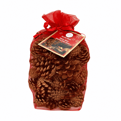 Christmas  -  Scented Pine Cones - Winter Spice  -  60487733