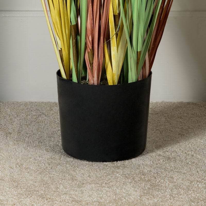 Homeware  -  Colourful Artificial Eremurus Grass With Plastic Pot - 122cm  -  60008437