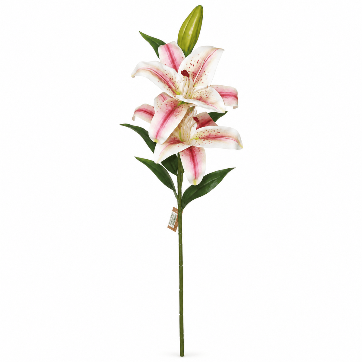 Homeware  -  Cream & Pink Stargazer Lily Spray - 64cm  -  60487327